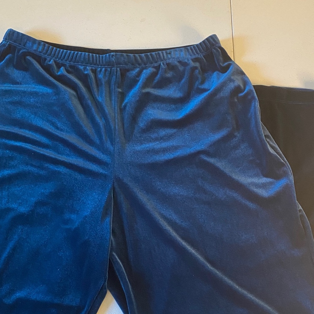 Elementz Women's Deep Blue Velvet Joggers Sz Large